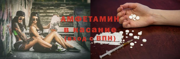 сатива Абинск