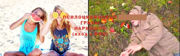 герыч Алексин