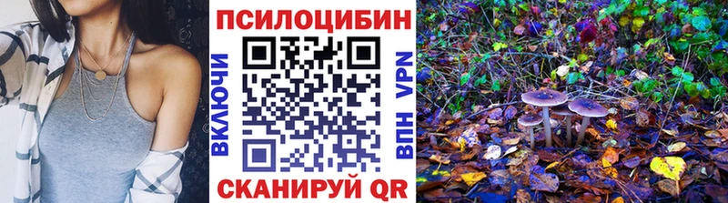 где можно купить наркотик  Салават  Галлюциногенные грибы GOLDEN TEACHER 
